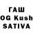 ГАШ VHQ Kott Kiot