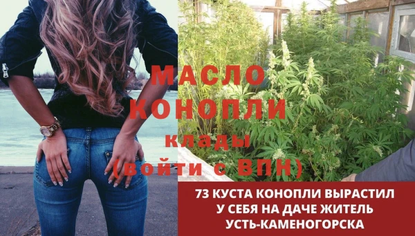 твердый Медногорск