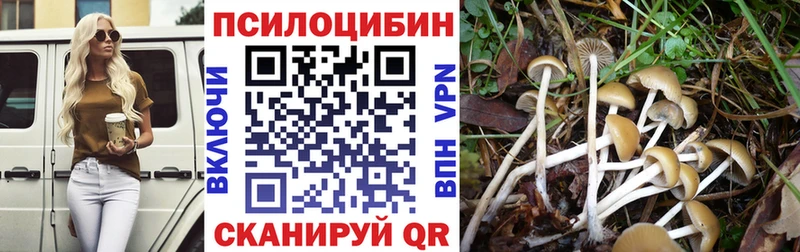 Купить  Омск  Галлюциногенные грибы Psilocybine cubensis 